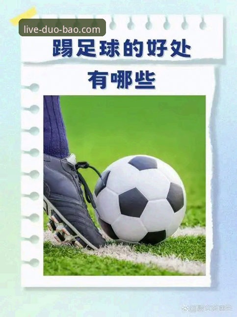 多宝体育官方下载渠道 多宝体育官方下载渠道vs非官方渠道:安全与体验的全面对比分析
